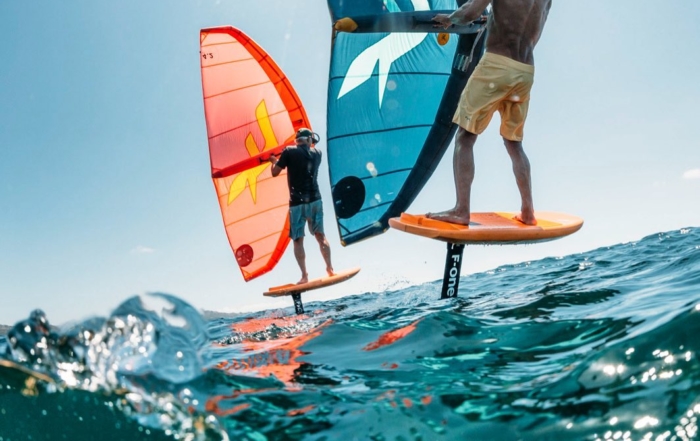 École de Wingfoil en Vendée