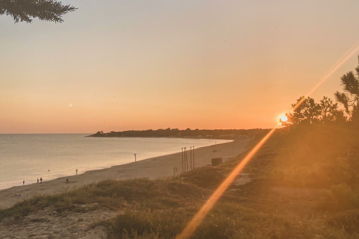 7a314744-aafe-4c54-8176-f1484476af8d 2